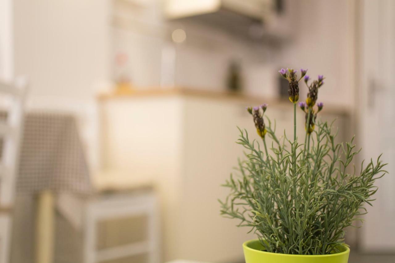 Casa Vecchia Apartamento Rovinj